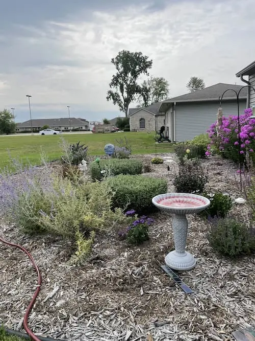 Beautiful flowers growing in the Gary Wend Memorial Garden