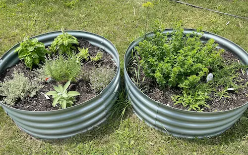 Garden planters growing a variety of vegetables